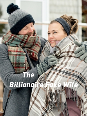 The Billionaire Fake Wife,Kis Write