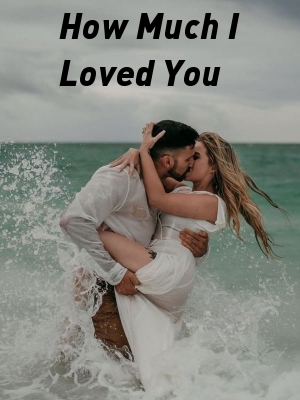 How Much I Loved You,Andreea Sandor