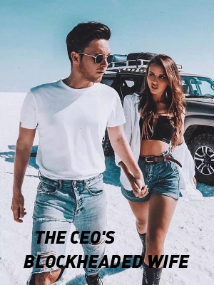 THE CEO'S BLOCKHEADED WIFE,Bae_Nnenna