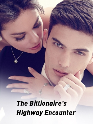 The Billionaire's Highway Encounter,Tife Story