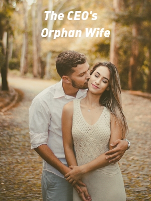 The CEO's Orphan Wife,Shynnbee