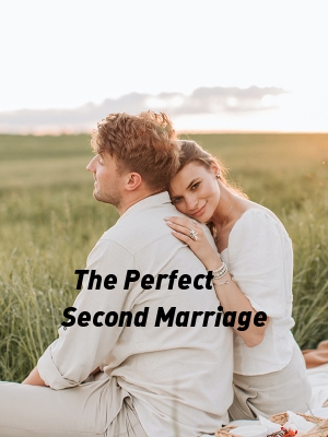 The Perfect Second Marriage,