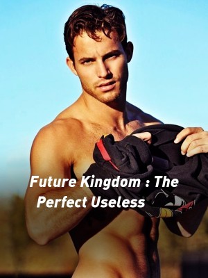 Future Kingdom : The Perfect Useless,Ashcielly