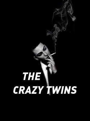 THE CRAZY TWINS,AuthoressMeeyah