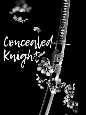 Concealed Knight,anne_notann