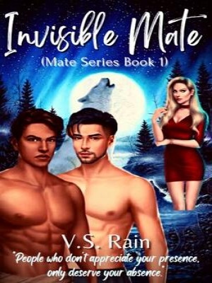Invisible Mate ( Mate Series Book 1),V S Rain