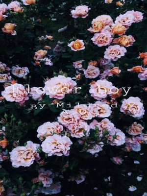 Flower Boy,Mildred