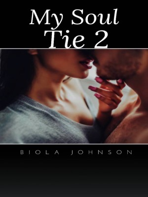 My Soul Tie. Series Two,Biola Johnson