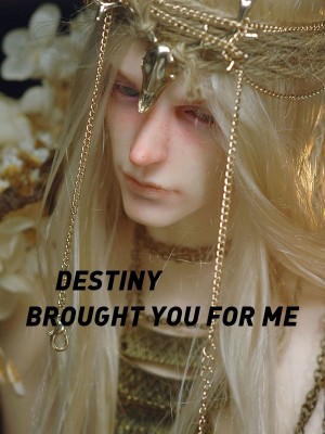 DESTINY BROUGHT YOU FOR ME