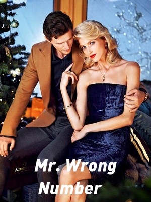 Mr. Wrong Number,Mithya