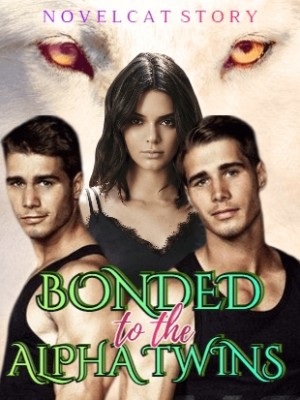 Bonded To The Alpha Twins,San_2045