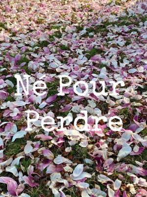 Né pour perdre