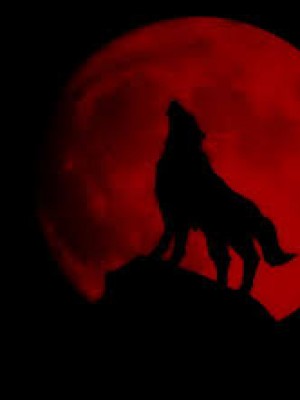 Midnight Pack BloodMoon,L.K. Mpinda