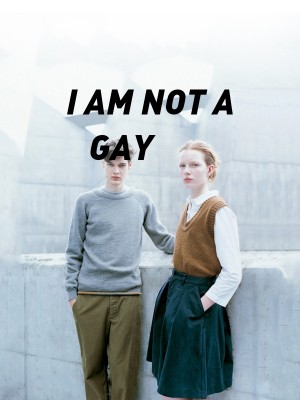 I AM NOT A GAY,DEEN NOVELS