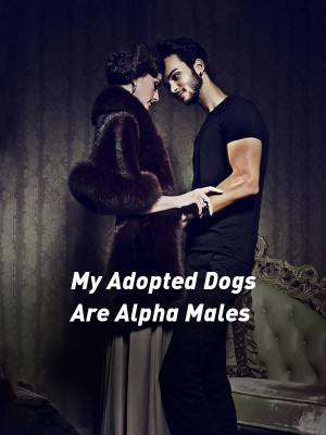 My Adopted Dogs Are Alpha Males,Sam_