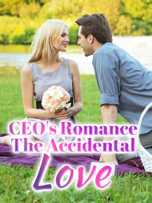 CEO's Romance: The Accidental Love,