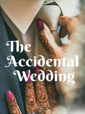 The Accidental Wedding,Aliza Jabri