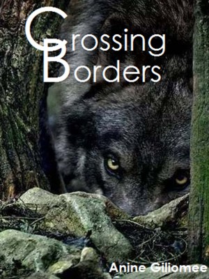 Crossing Borders Series,Anine Giliomee