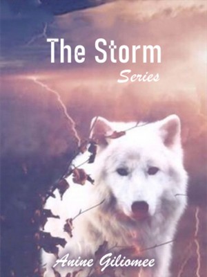 The Storm Series,Anine Giliomee