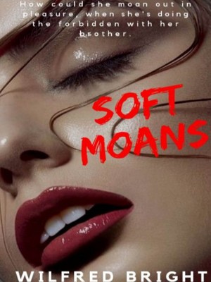 Soft Moans,Wil B