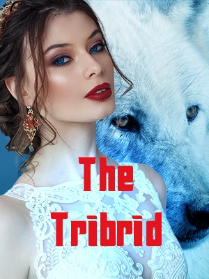 The Tribrid,Authoress Mira