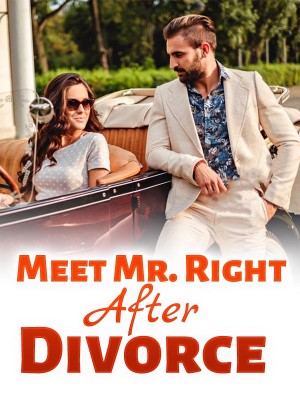 Meet Mr. Right After Divorce,