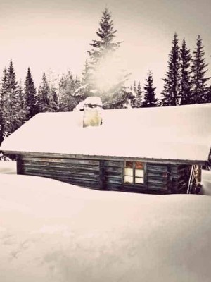Snowed In: An Erotic Love Story,TPKs Stories