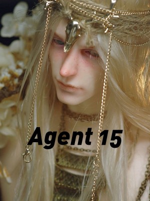 Agent 15,The Young Agent