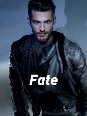 Fate,Rssd