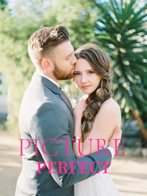 Picture Perfect