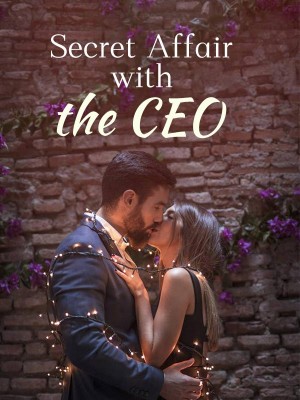 Secret Affair with the CEO