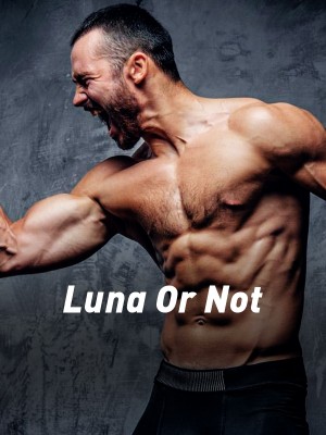 Luna Or Not,Writer_reader_creator