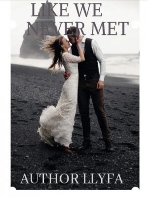 Like We Never Met,Llyfa