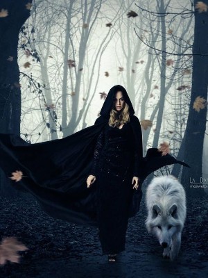 The Beautiful Witch and her Wolf,Alfa