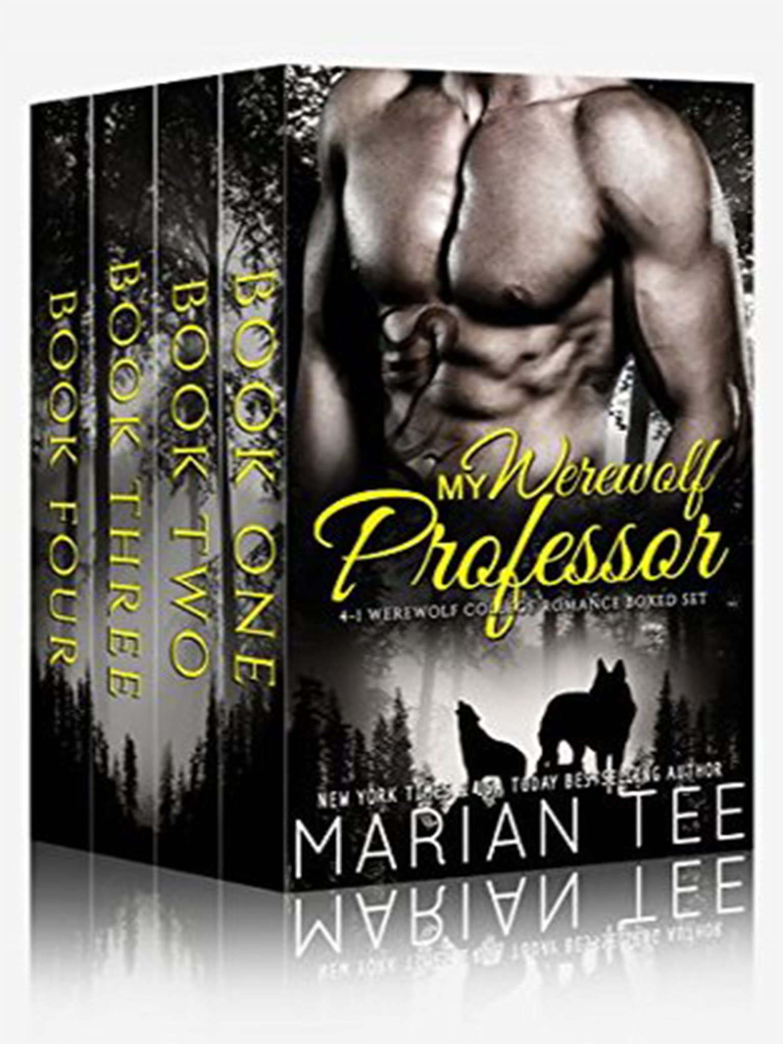 My Werewolf Professor Serials