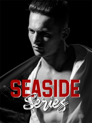 Seaside Series,Rachel Van Dyken