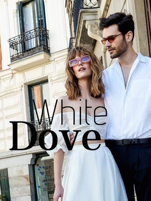 White Dove