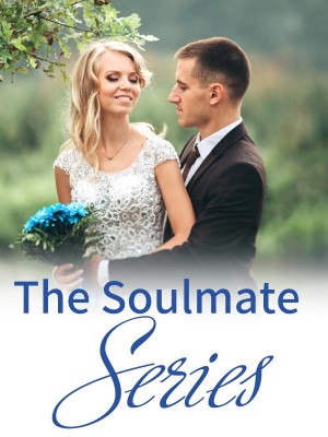 The Soulmate Series,Burge214