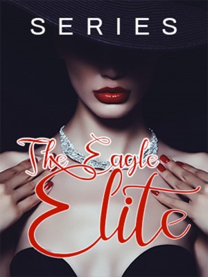 The Eagle Elite series,Rachel Van Dyken