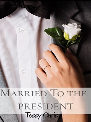 Married to the President,Sungirl