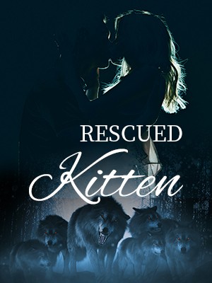 Rescued Kitten,Cendrillon1996