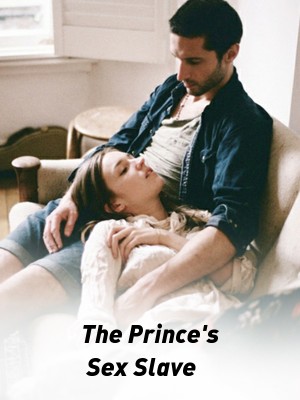 The Prince's Sex Slave,Fehimuan