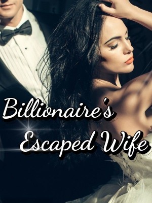 Billionaire's Escaped Wife,Author