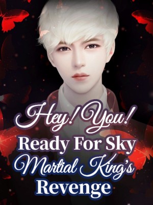 Hey! You! Ready For Sky Martial King's Revenge,