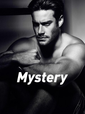 Mystery,Laurann Dohner