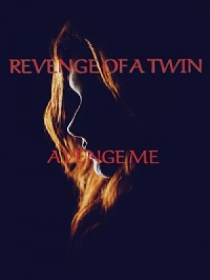 Revenge Of A Twin,Jenny writ3s