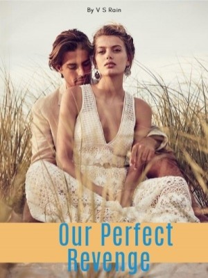Our Perfect Revenge,V S Rain