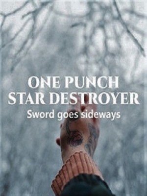 One Punch Star Destroyer,joke