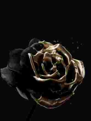 Black And Gold Blood,Melli