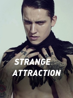 STRANGE ATTRACTION,Becca Stories